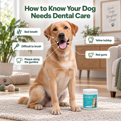 Natural Dental Finger Wipes for Pets