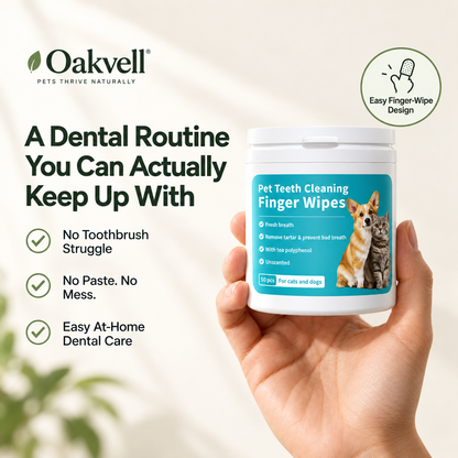 Natural Dental Finger Wipes for Pets